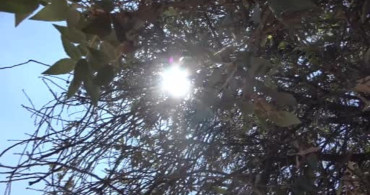 Adana'da hava sıcaklıkları 36 dereceye yükseldi