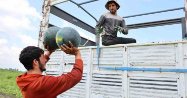 Adana’da karpuz hasadında sona gelindi