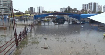 Adana'da Kurban Pazarı Sel Felaketiyle Yüz Yüze