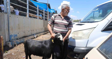 Adana'da Kurbanlıkların Taşınma Yöntemleri