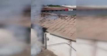 Adana'da narenciye paketleme tesisinde yangın meydana geldi