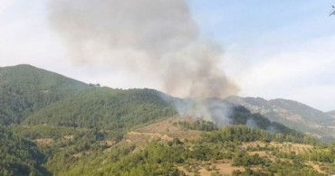 Adana'da Orman Yangını