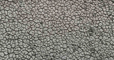 Adana'daki Barajlar Yeniden Dolduruldu