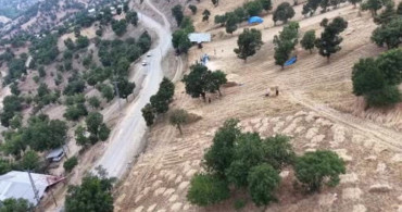 Adana'nın dağ köylerinde geleneksel hasat geleneği sürüyor