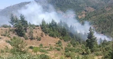 Adana'nın Feke ilçesinde orman yangınına müdahale ediliyor
