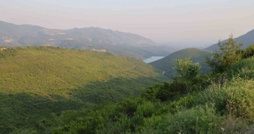 Adana'nın Kozan ilçesinde orman yangınının ardından doğa yeniden canlandı