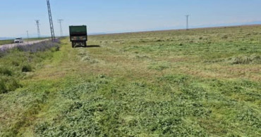 Adilcevaz'da Ot Biçme Sezonu Başladı