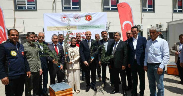 Adıyaman'da Çiftçilere Zeytin Fidanı ve Arılı Kovan Desteği Verildi