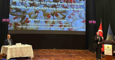 Adnan Menderes Üniversitesi Öğrencisi Kongrede Birinci Oldu