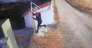 Afyonkarahisar'da Öğretmene Köpek Saldırısı: 2 Metrelik Duvara Tırmandı Ama Engel Olamadı