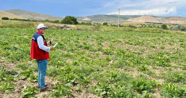 Afyonkarahisar’da planlı tarımsal üretim için saha çalışmaları sürüyor