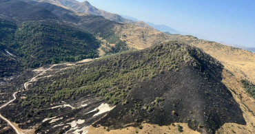 Afyonkarahisar'da Yangın Kontrol Altına Alındı