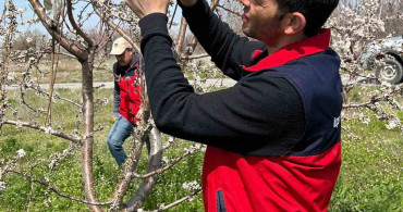 Afyonkarahisar'da Zirai Don Sonrası Hasar Tespiti Yapıldı