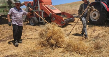 Ağın'da mercimek tohumluklarında hasat kontrolleri