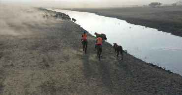 Ağrı Dağı'nda Atlı Çobanlık Geleneği
