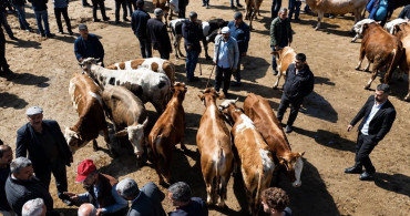 Ağrı Kurban Pazarı Hareketlendi: Sevkiyatlar Artıyor