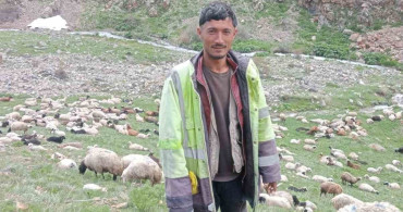 Ağrı'da Cinayet Zanlısı Jandarma Kontrol Noktasında Yakalandı