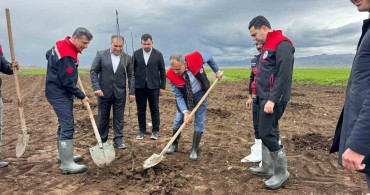 Ağrı'da Meyve Fidanı Dağıtımı