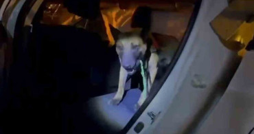 Ağrı'da Uyuşturucu Operasyonu: 10 Kilogram Skunk Ele Geçirildi