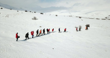 Ağrı'da Yaban Hayvanları İçin Yemleme Faaliyeti