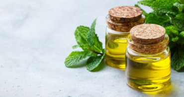 Ağrılara İyi Gelen Nane Yağı Nasıl Kullanılır?
