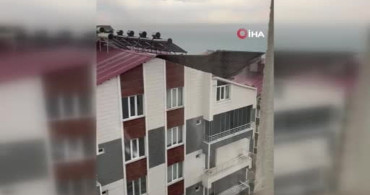 Ahlat'ta fırtına günlük yaşamı olumsuz etkiledi