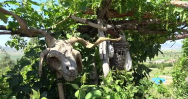 Ahşap oymacılığı ile sağlığını buldu ve sigara alışkanlığından kurtuldu