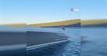 Akdeniz Foku Motoryatta Dinleniyor