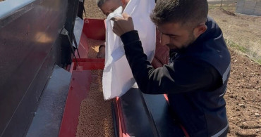 Akıncılar'da Nohut Tohumları Toprakla Buluştu