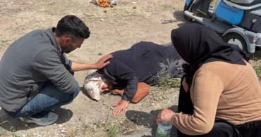 Aksaray'da kaza geçiren kadına vatandaşlardan yardım