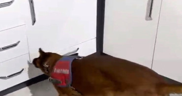 Aksaray'da Uyuşturucu Operasyonu: 2 Kişi Tutuklandı