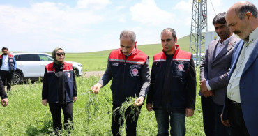 Akyaka'da dolu yağışı tarım arazilerini vurdu: hasar tespit çalışmaları sürüyor