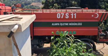 Alanya'da avokado bahçelerinin bulunduğu zirai alanda yangın