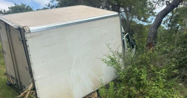 Alanya'da kamyonet ağaca çarptı: 1 ölü, 1 ağır yaralı