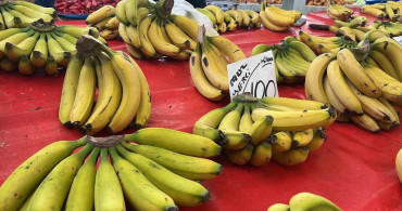 Alanya'da muz fiyatları arasındaki fark üreticileri zor durumda bırakıyor