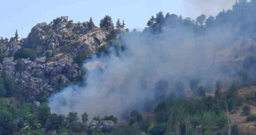 Alanya'da zirai alanda çıkan yangın kontrol altına alındı