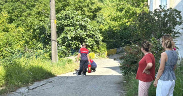 Alaplı'da gaz kaçağı nedeniyle alev alan piknik tüpü paniğe neden oldu