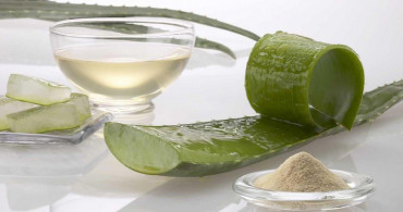 Aloe Vera Çayı ile Kilo Verin