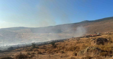 Aliağa'da otluk alanda yangın kontrol altına alındı