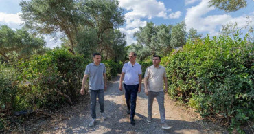 Aliberti Köşkü kent parkına dönüşüyor