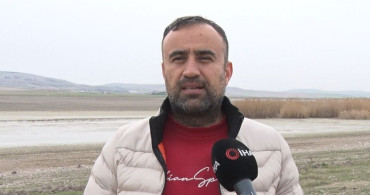 Allı Turnaların Yaşam Alanı Tehdit Altında