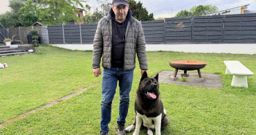 Almanya'da Köpek Sahiplerine Zorunlu Sorumluluk Sigortası