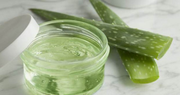 Aloe Vera Bitkisinin Cilde Yararları