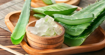 Aloe Vera Cinsellikte Nasıl Kullanılır?