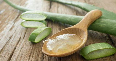 Aloe Vera ile Saç Bakımı