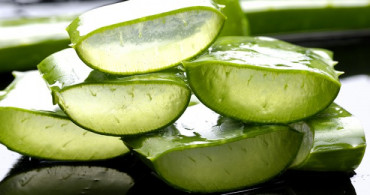 Aloe Vera'nın Bilinmeyen Mucizevi Faydaları