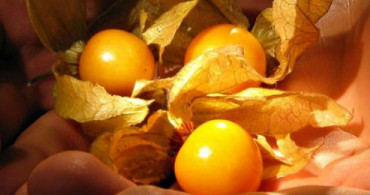 Altın Çilek ve Limon Suyu ile Zayıflatan Reçel Tarifi