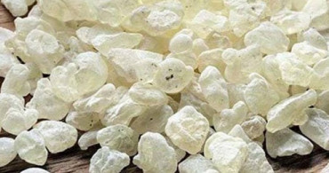 Altından Daha Pahalı Bu Ürün Kanserin Şifası!
