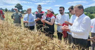 Altındaneler toprakla buluşuyor projesinde hasat heyecanı