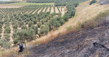 Altınözü'nde anız yangını kontrol altına alındı